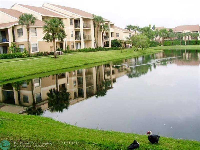 Sunrise, FL 33322,9999 Summerbreeze Dr  #1016