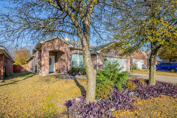 1508 Black Willow Trail, Anna, TX 75409