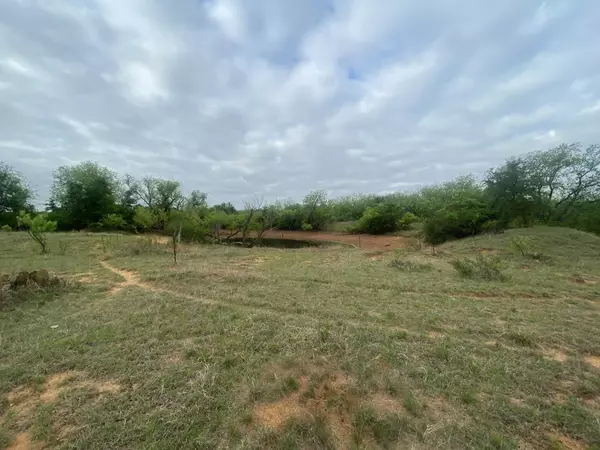 Eastland, TX 76435,000 CO ROAD 290