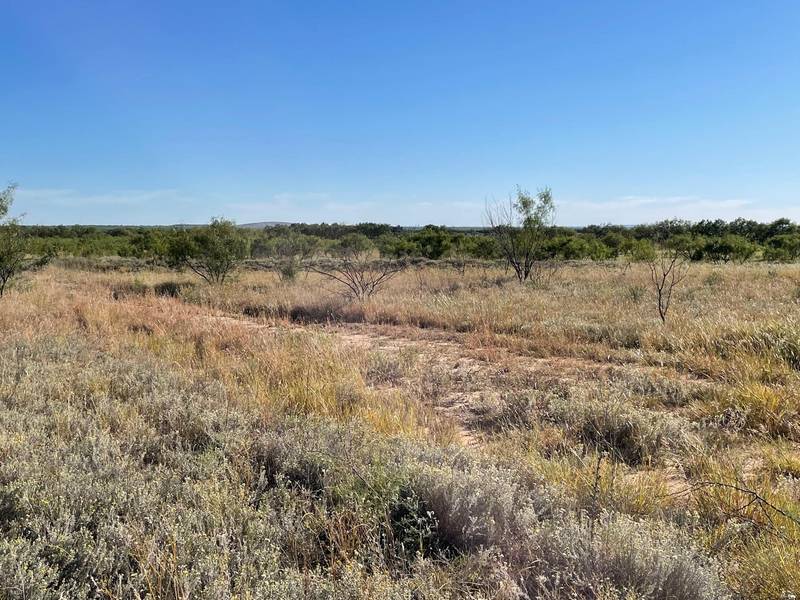 10.72 Ac Private Rd 3390, Abilene, TX 79601