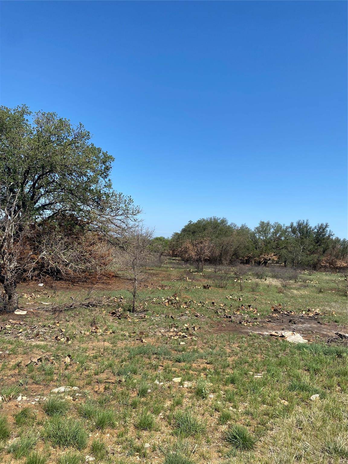 Brownwood, TX 76801,Lot 550 Feather Bay Drive