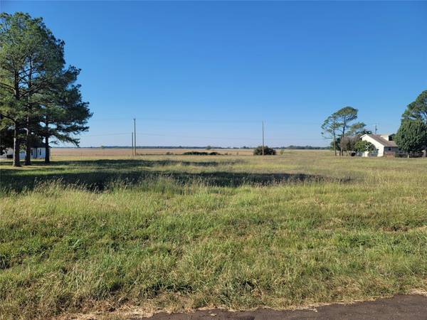 Lot 844 Cross Tie Ranch Road, Trinidad, TX 75163