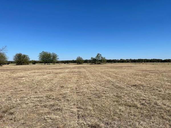 225 Saddleview Court,  Mineral Wells,  TX 76067