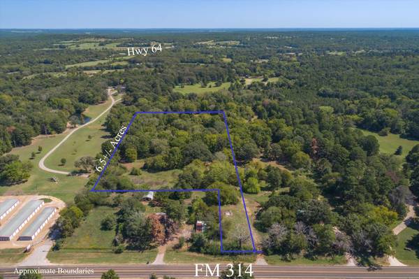 Tract 1 FM 314, Ben Wheeler, TX 75754