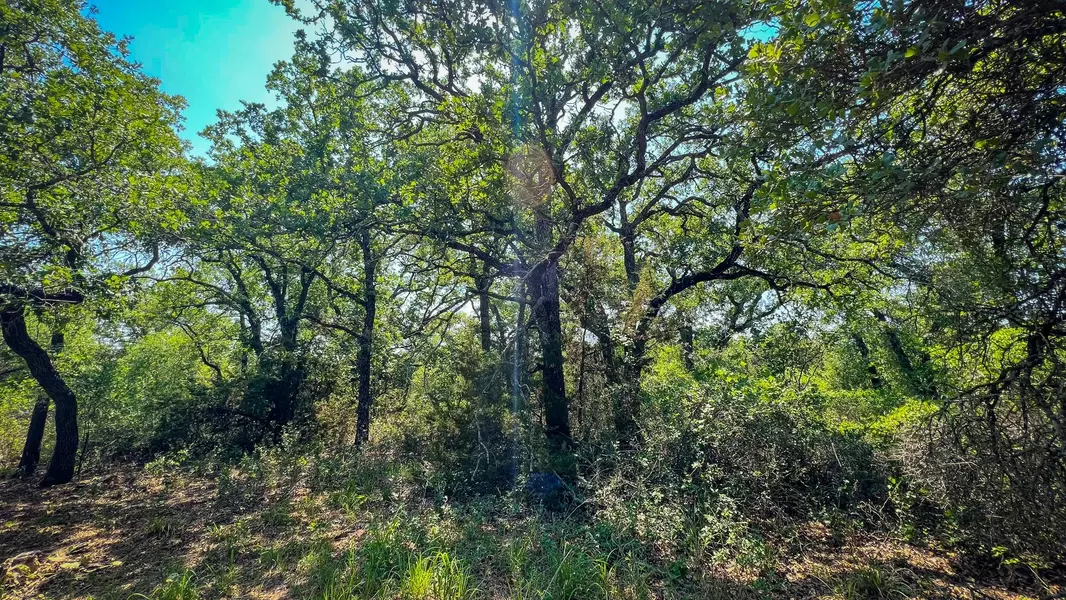 TBD CR 335, Eastland, TX 76437