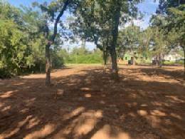 241 Palmilla Drive, Gordonville, TX 76245