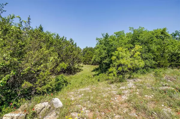 Graford, TX 76449,TRACT 1B 23.04 ACRES Mountain Drive