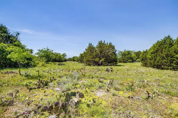 Graford, TX 76449,TRACT 1B 23.04 ACRES Mountain Drive