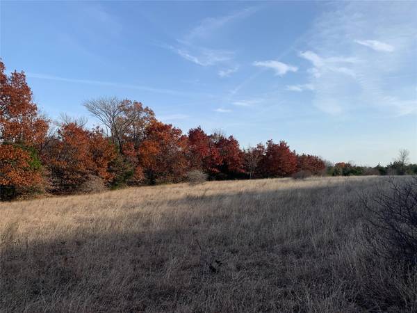 TBD Walnut Grove, Whitewright, TX 75491