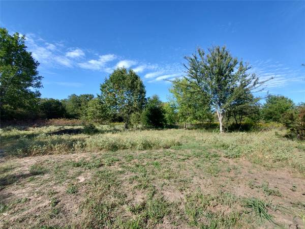 455 RS County Road 2515, Alba, TX 75410