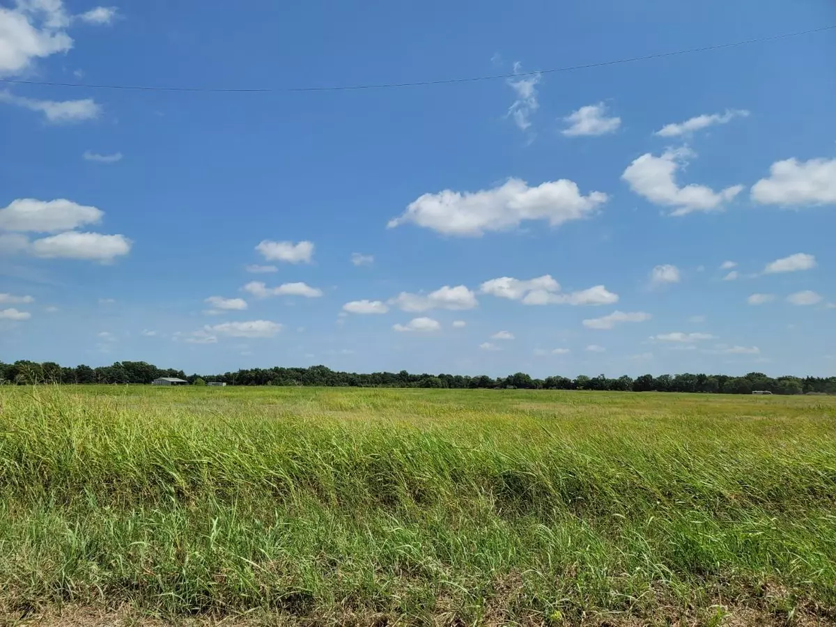 Savoy, TX 75479,LOT 4 County Rd 1245