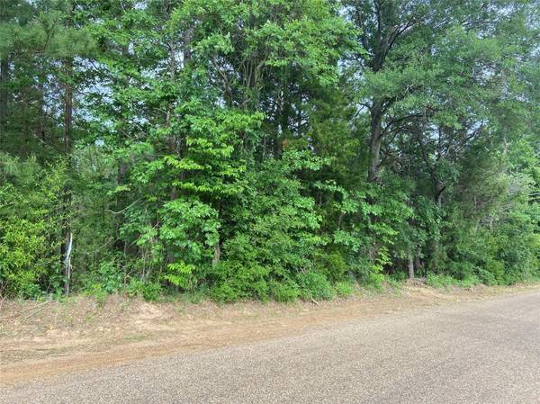 Lot 1 CR 4224, Frankston, TX 75763