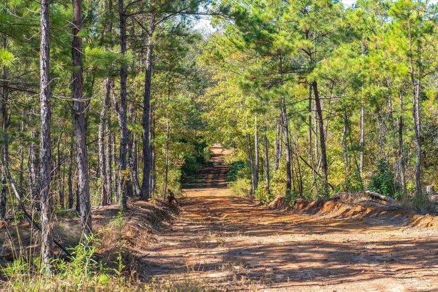 TBD County Road 3101, Winona, TX 75792