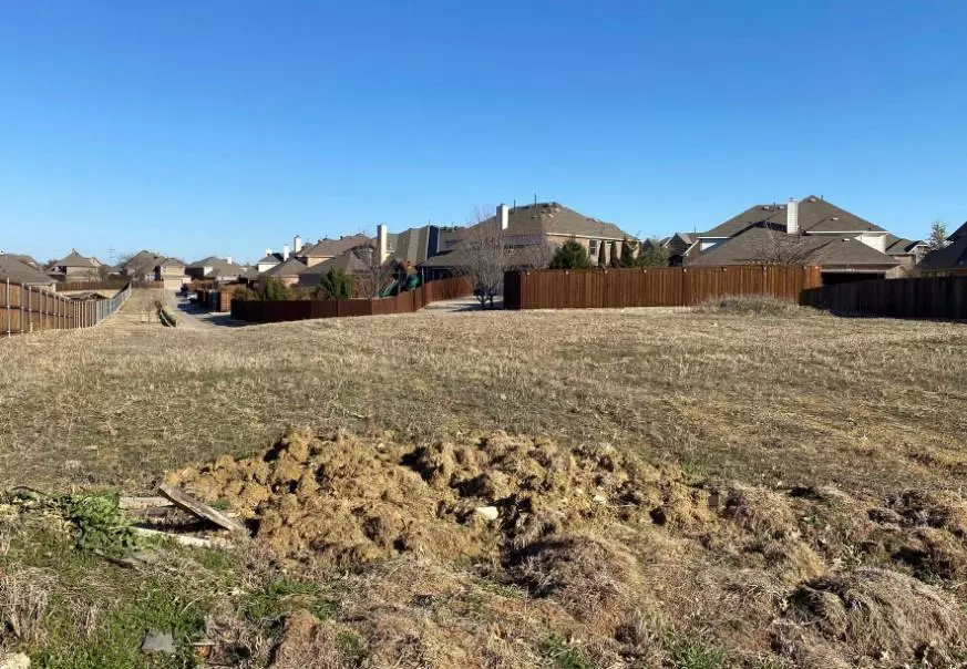 Frisco, TX 75033,14182 Speargrass Drive