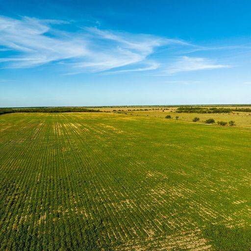 TBD County Rd 505, Abilene, TX 79601