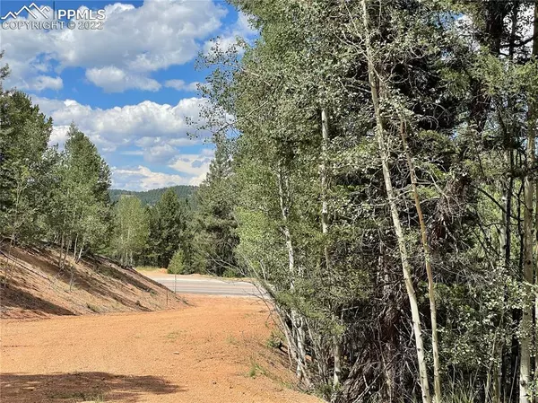 26 Hemitite LN, Divide, CO 80814