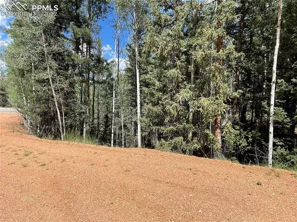 Divide, CO 80814,26 Hemitite LN