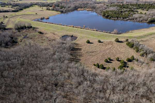 83 ACRES CR 1004, Blue Ridge, TX 75424