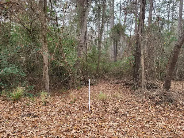 Holly Lake Ranch, TX 75765,TBD Evening Shadows Trail