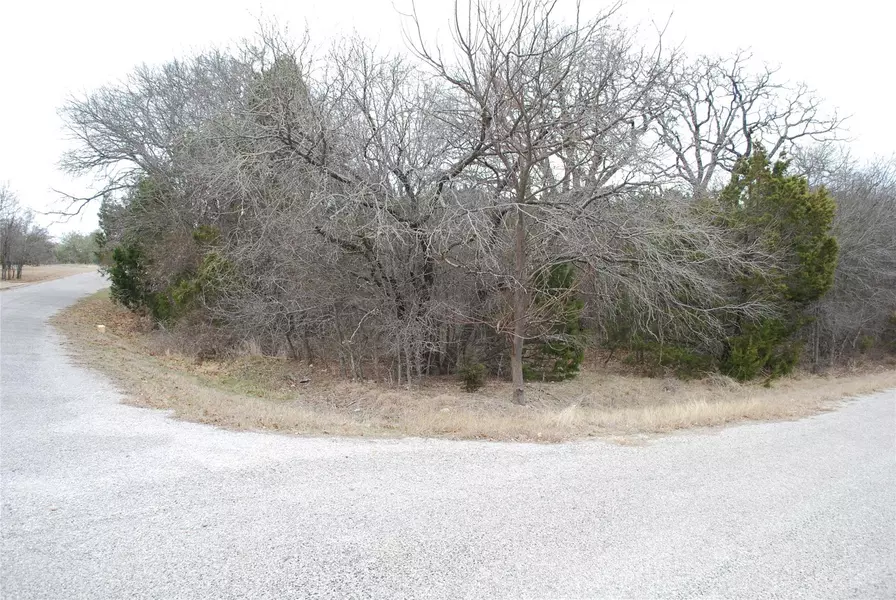 14067 Sandy Oaks Drive, Whitney, TX 76692