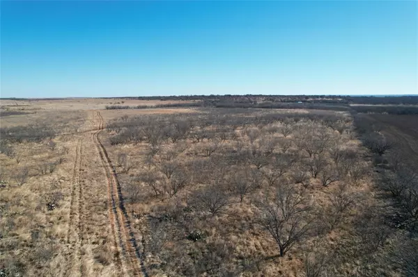 8.38 AC (East) CR 356, Abilene, TX 79601