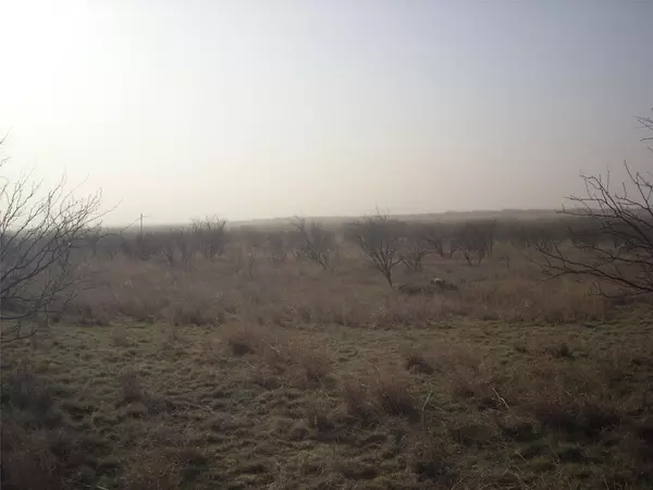 Abilene, TX 79601,8.38 AC (East) CR 356