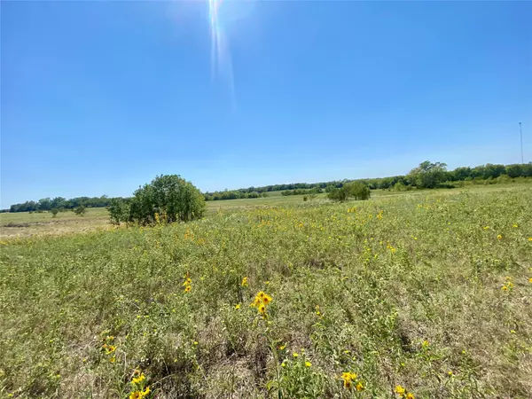 Windom, TX 75492,0000 E FM 1396