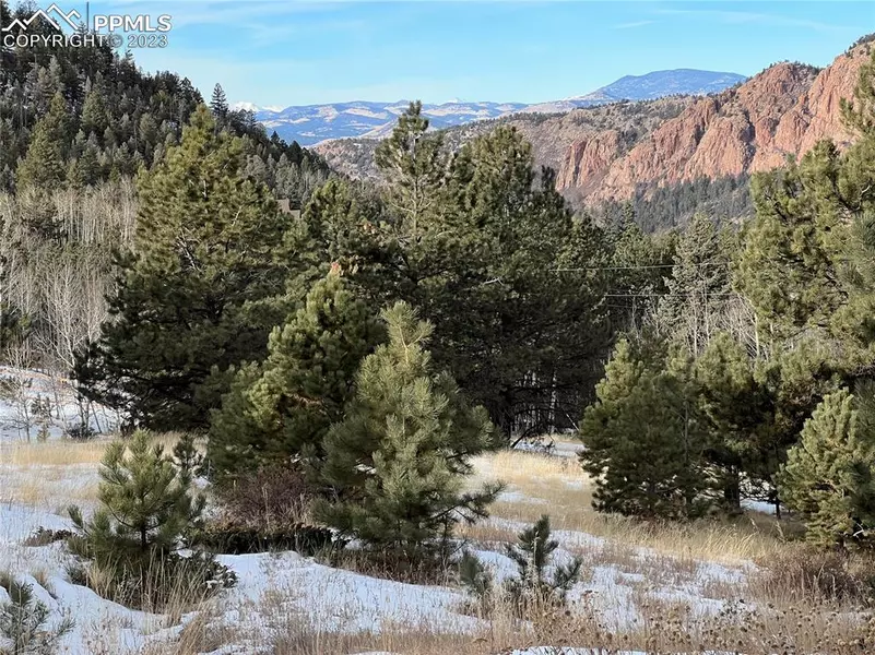 181 Troy DR, Cripple Creek, CO 80813