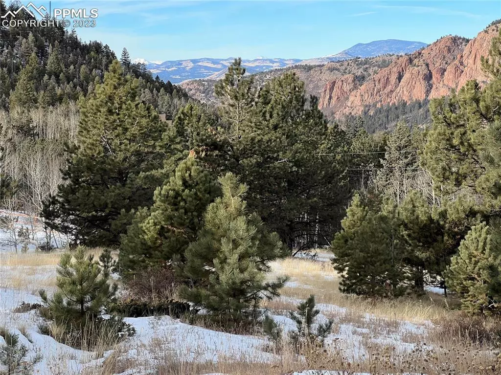 Cripple Creek, CO 80813,181 Troy DR