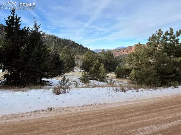 Cripple Creek, CO 80813,181 Troy DR