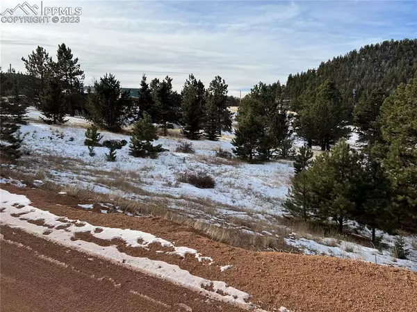 Cripple Creek, CO 80813,181 Troy DR