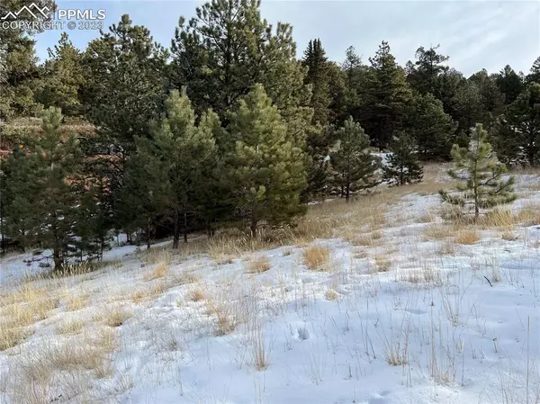 Cripple Creek, CO 80813,181 Troy DR