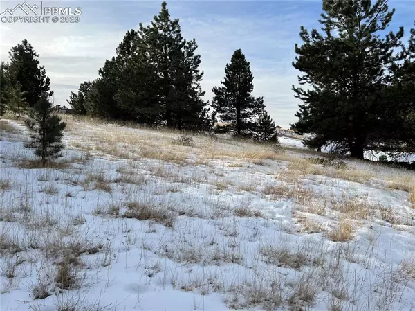 Cripple Creek, CO 80813,181 Troy DR