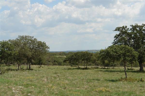 TBD PR 135, Goldthwaite, TX 76844