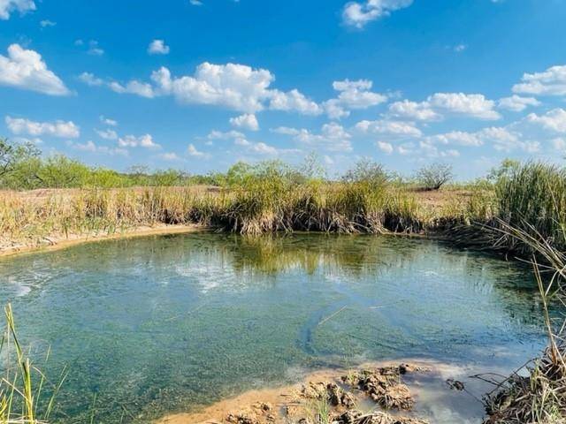 44 County Road 129, Brownwood, TX 76801