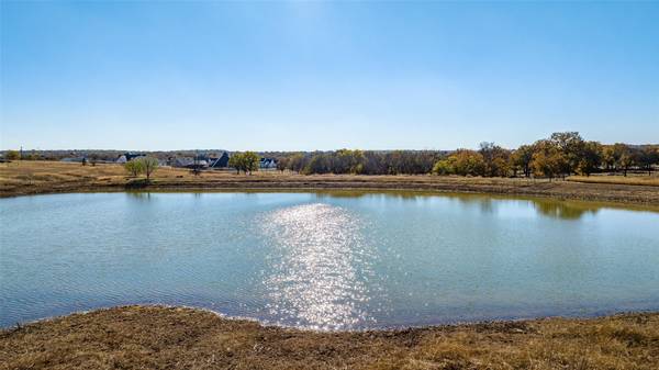 119 Chisum Drive, Millsap, TX 76066