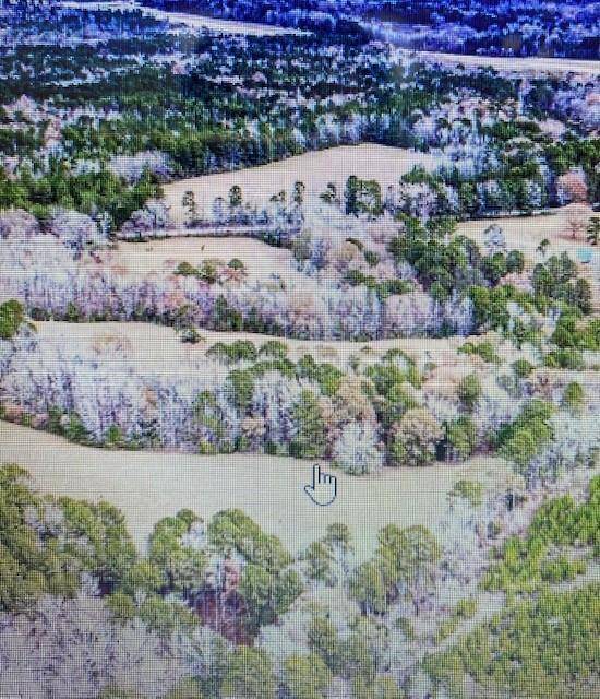 Address Not Disclosed