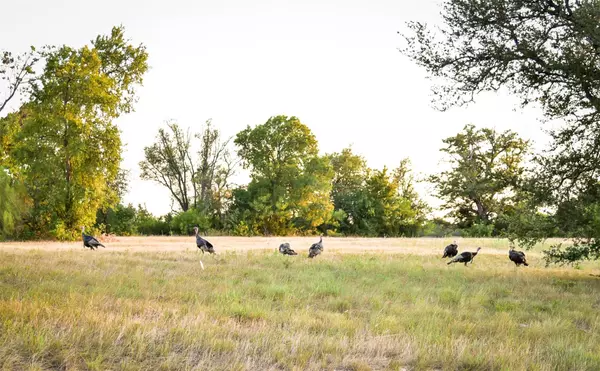 Cleburne, TX 76033,7500 Acre Wood Court