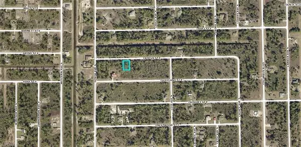 Lehigh Acres, FL 33974,1116 Crocus ST E