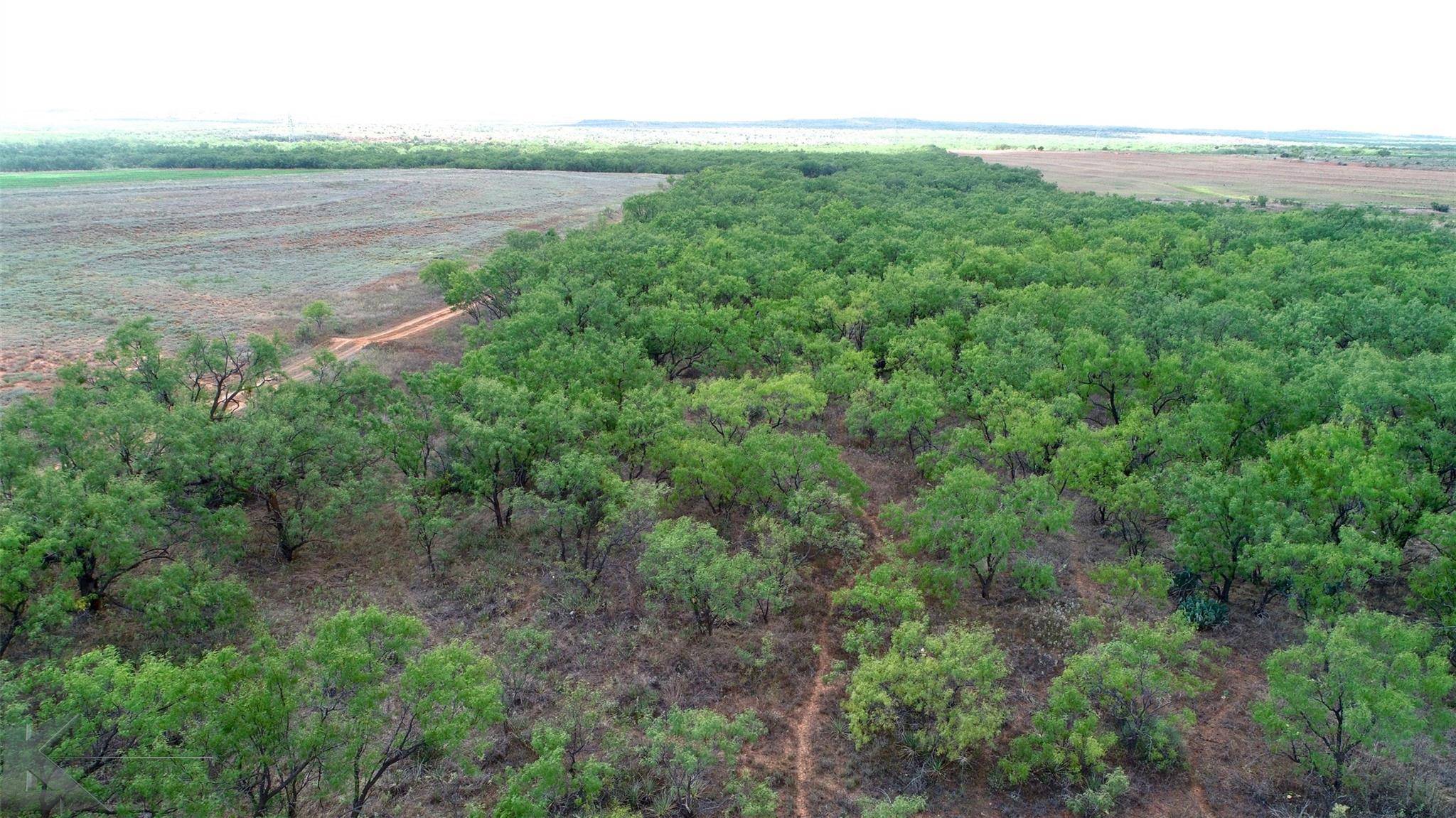 TBD 2 FM 419 S, Sweetwater, TX 79556