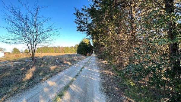 Lot 1 Po' Pines Road, Payne Springs, TX 75156