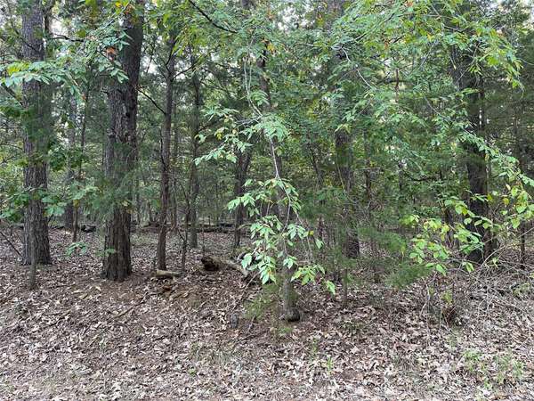 00 Whispering Pine Trail S, Mount Vernon, TX 75457