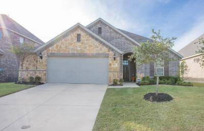 2625 Fair Oaks Avenue, Midlothian, TX 76065