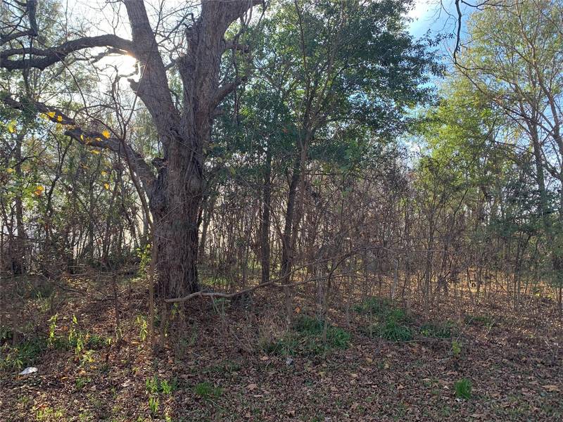 Block 3 Lot 1 Sillman, Purdon, TX 76679