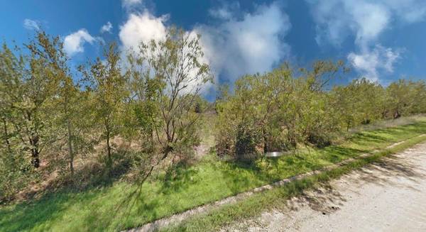 Lot 3 SE County Raod 3048A, Corsicana, TX 75109