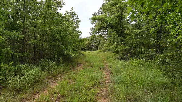 Montague, TX 76251,TBD Brown