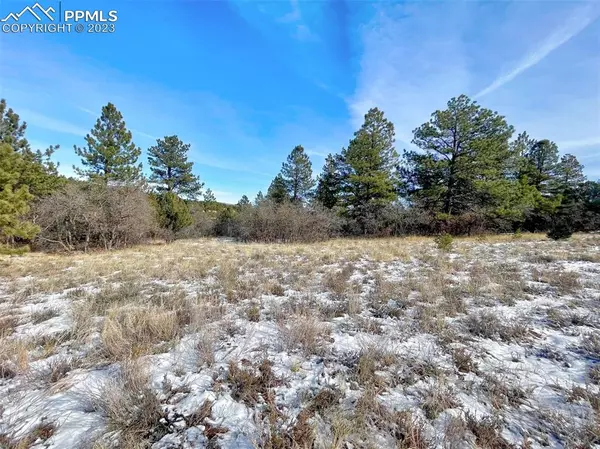 Westcliffe, CO 81252,Lot 21 Pheasant LOOP