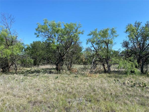 Lot 539 Oak Point Drive,  May,  TX 76857