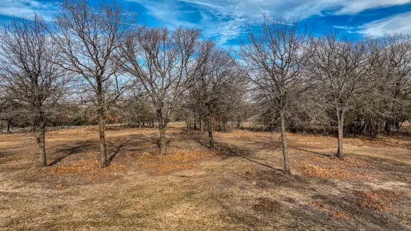 Peaster, TX 76487,0 E Dry Creek