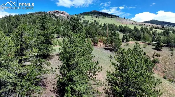 726 Copper Mountain DR, Cripple Creek, CO 80813